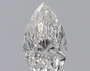 Pear 0.5 F SI1 - #219521