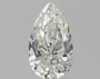 Pear 0.8 H VVS1 - #220230