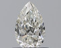 Pear 0.5 H VVS1 - #226111