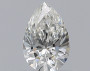 Pear 0.5 H VS2 - #226112