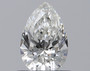 Pear 0.5 H VS2 - #227302