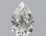 Pear 0.65 H VS1 - #227320