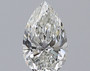 Pear 0.8 H VVS1 - #227359