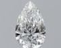 Pear 1 E VS2 - #228091