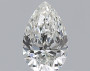 Pear 0.5 H VVS1 - #228294