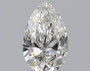 Pear 0.51 H VS2 - #229962