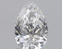 Pear 1 E VS2 - #232167