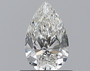 Pear 0.63 H VS1 - #233387