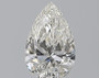Pear 1.01 H VS2 - #236983