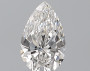 Pear 0.5 F VS1 - #237709