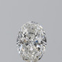 Oval 1.01 G SI1 - #238304
