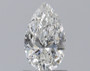 Pear 1 G SI2 - #239229