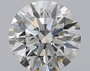 Round 0.5 G VS2 - #239842