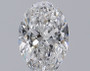 Oval 1.41 D SI1 - #241488
