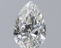 Pear 1 G SI1 - #241670