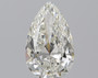 Pear 3 I IF - #241677