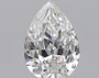 Pear 0.5 G SI1 - #241767
