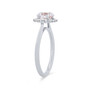 WEBMT00584-A