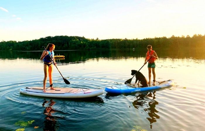 Standup Paddleboarding With Your Dog