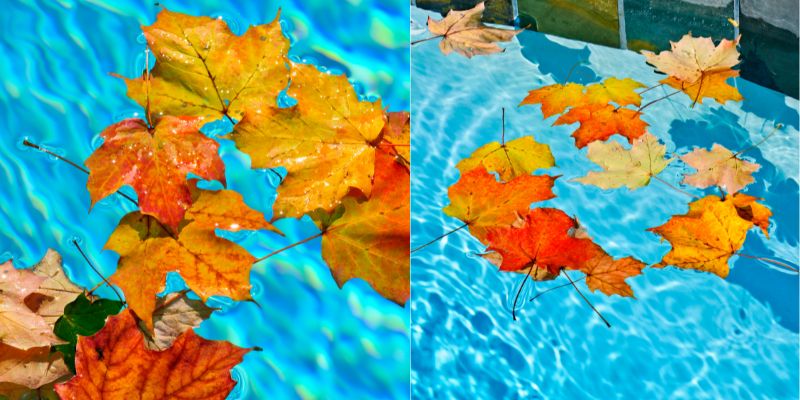 Decorate Your Pool for the Fall Season