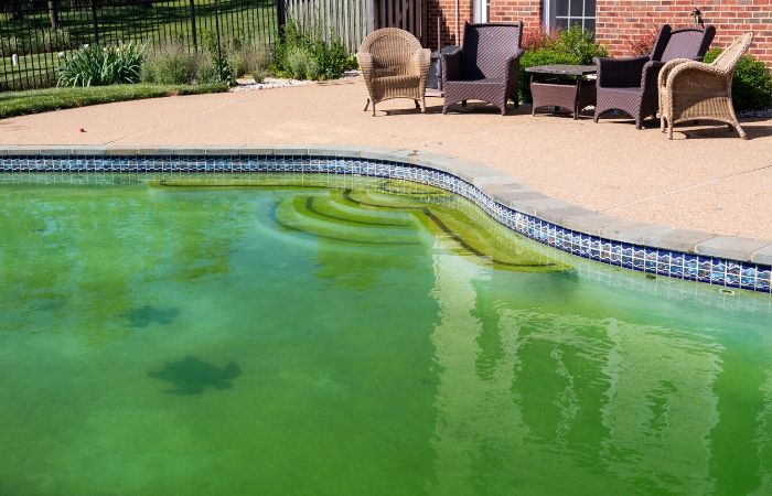 Why do swimming pools turn green? Why do swimming pools turn green?