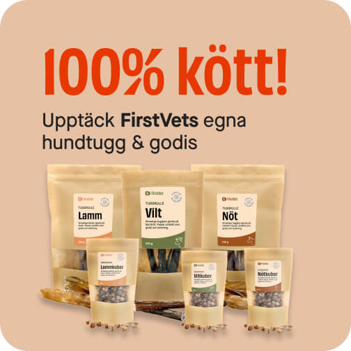 FIrstVets hundgodis