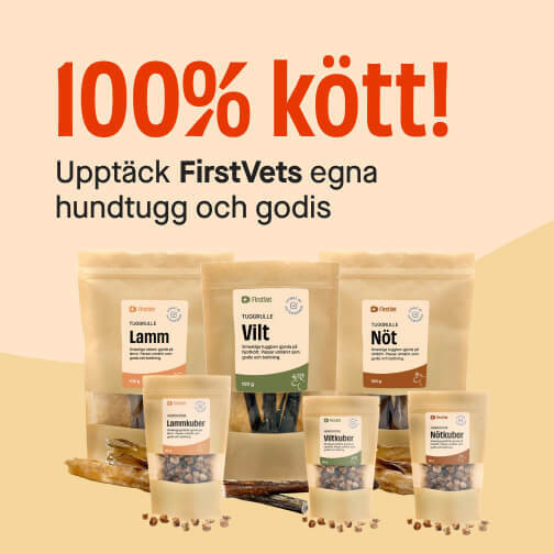 FIrstVets hundgodis