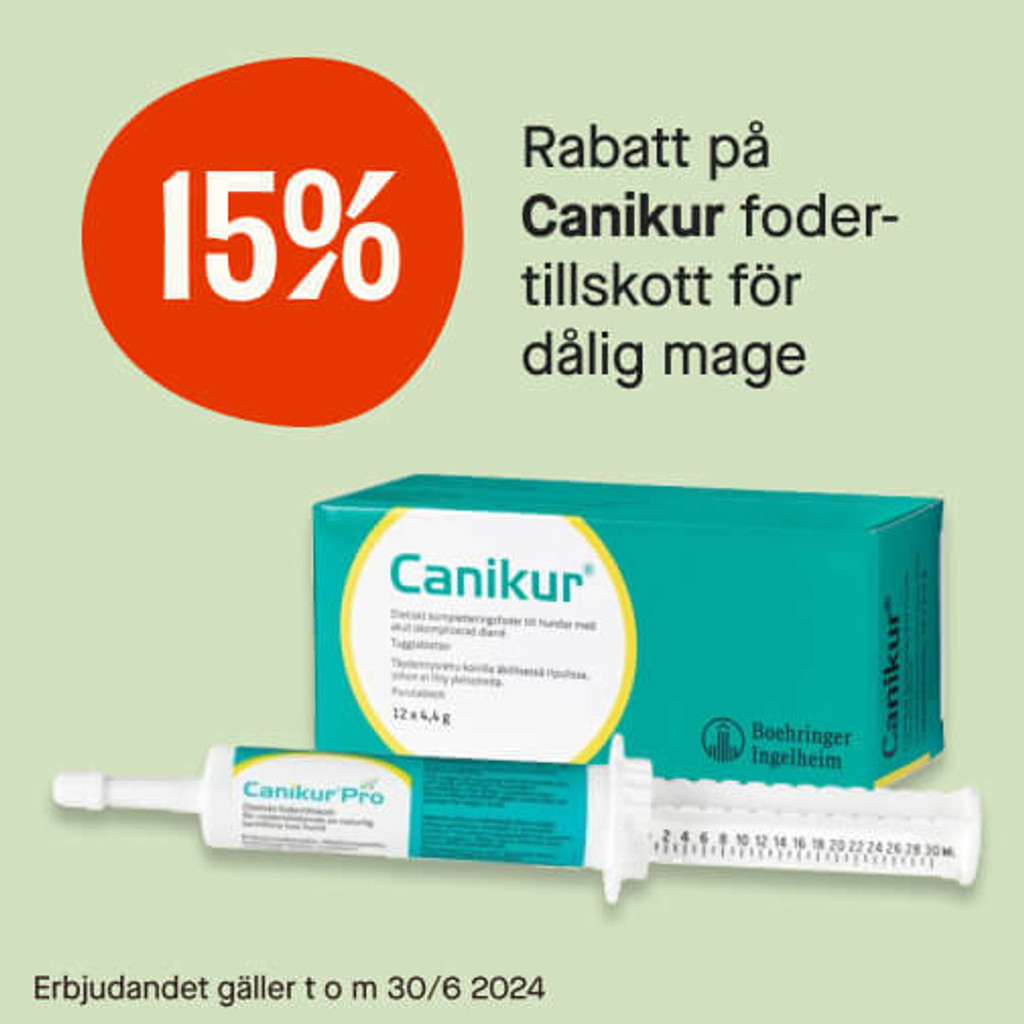 15% Canikur