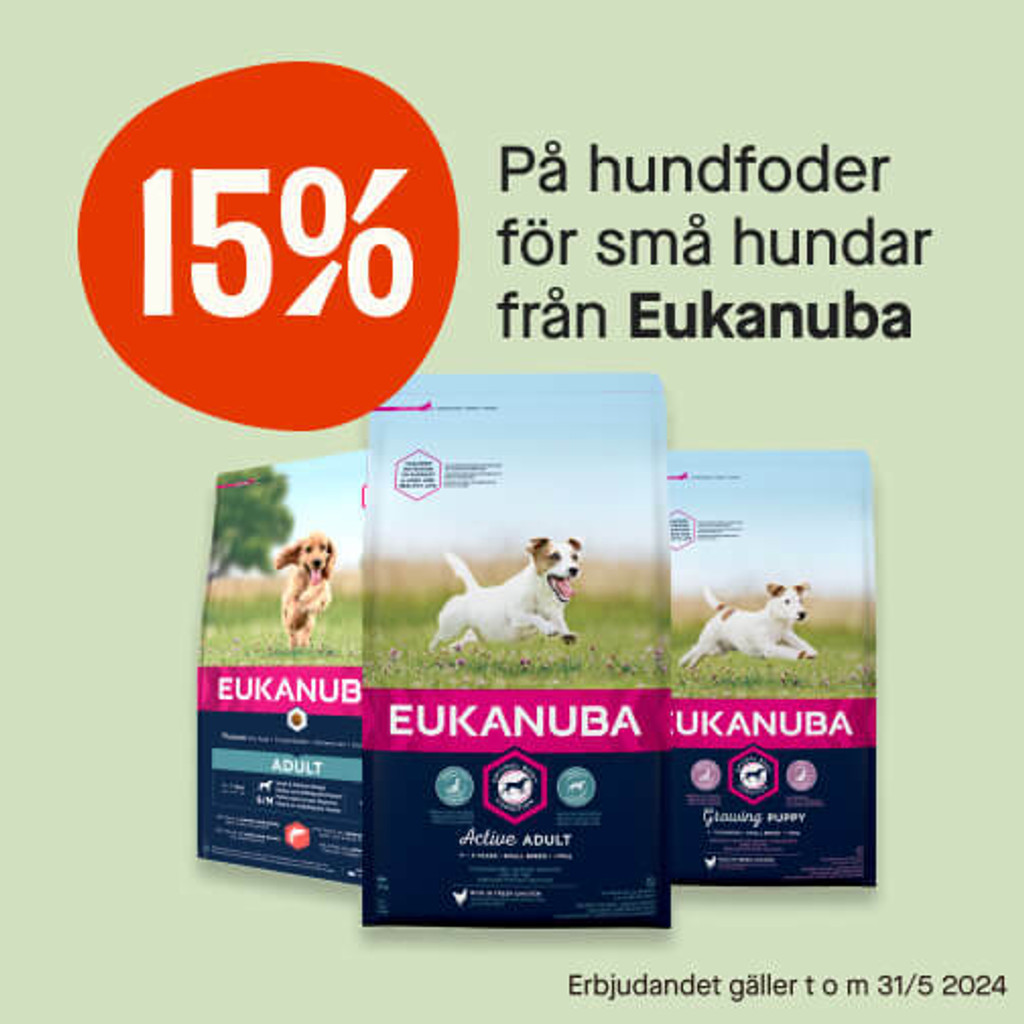 15% Eukanuba för små hundar