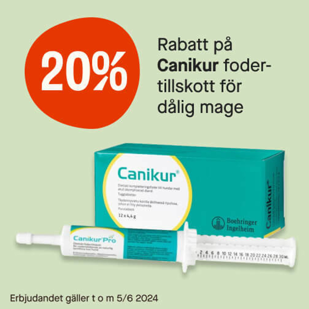 20% Canikur