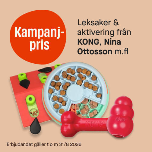 Aktivering & leksaker