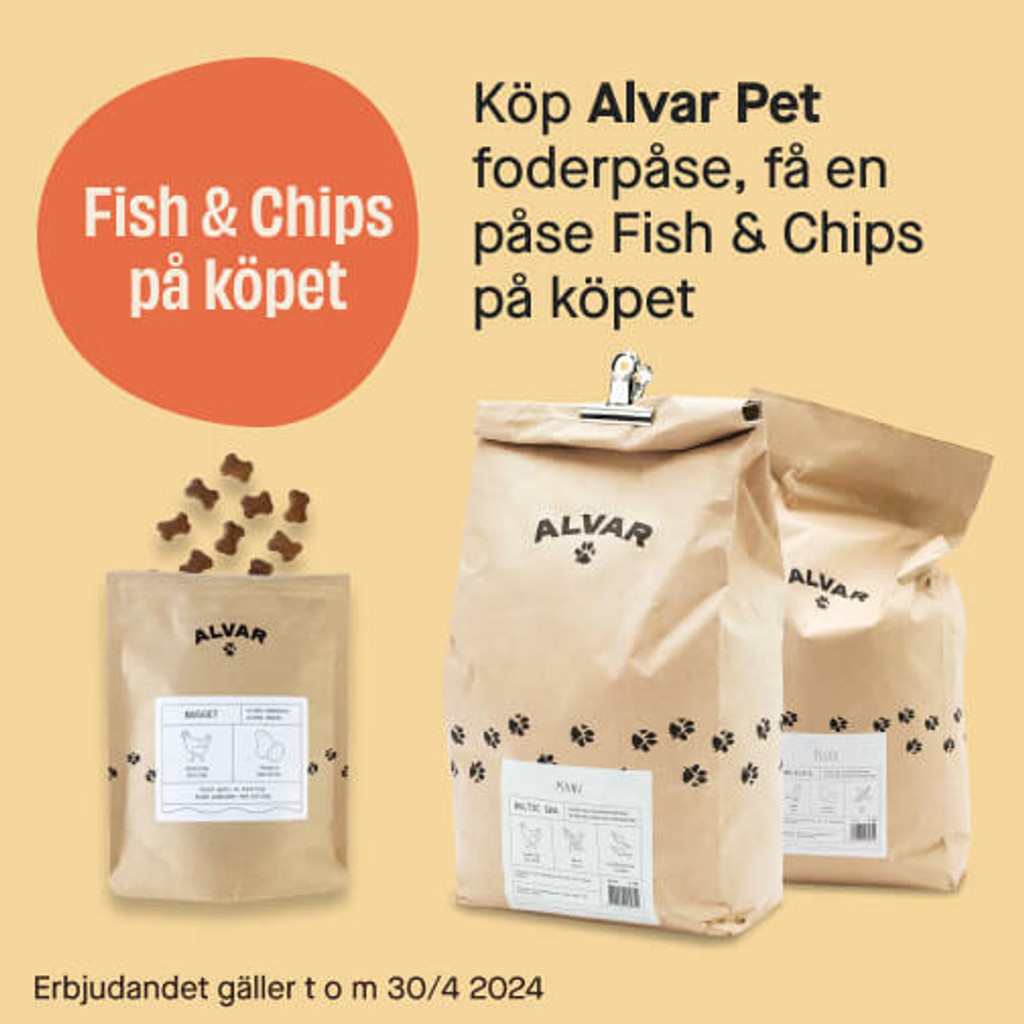 Köp Alvar Pet - Få godispåse