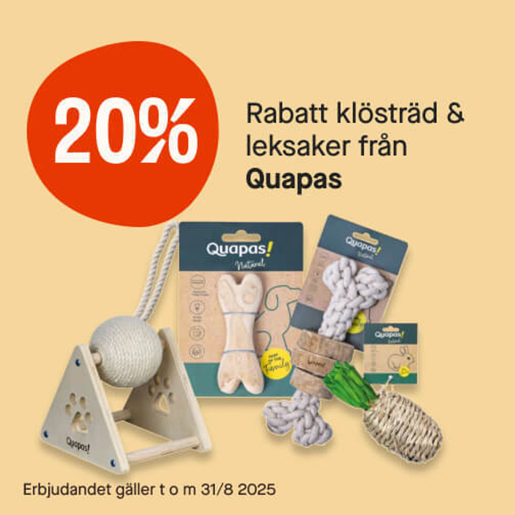 20% Quapas
