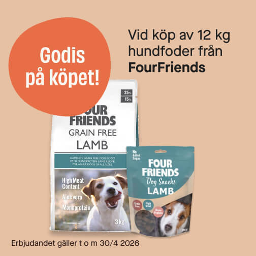 Godis på köpet! FourFriends