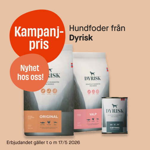 Kampanj: Dyrisk