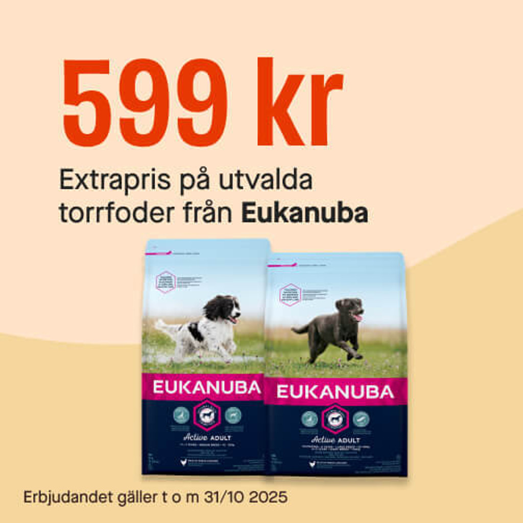 599 kr Eukanuba