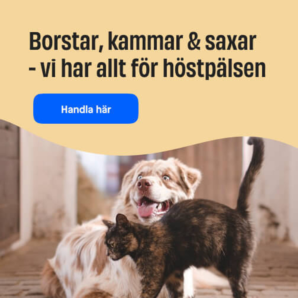 Pälsvård liten