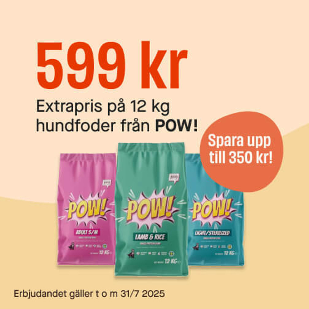 599 kr POW!