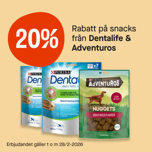 20% Dentalife & Adventuros