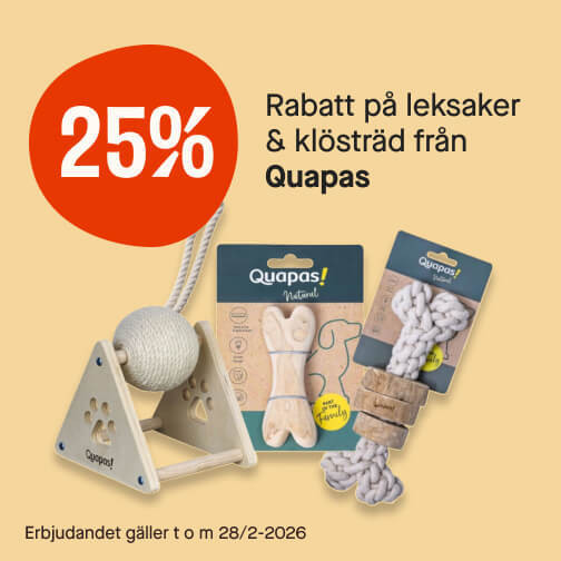 25% Quapas