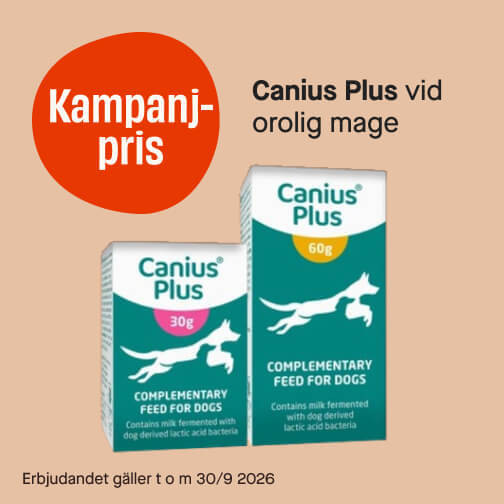 Canius Plus
