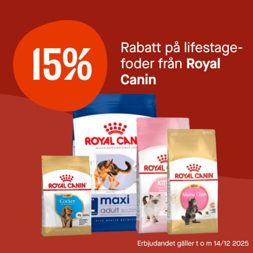 15% Royal Canin