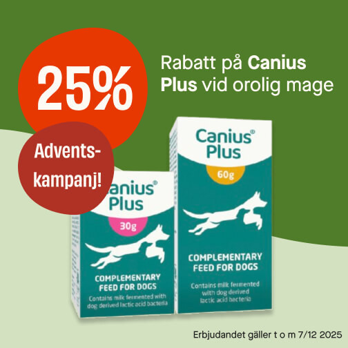 25% Canius Plus
