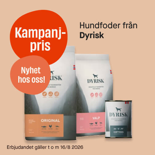 Hundfoder Dyrisk