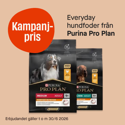 Everyday Purina