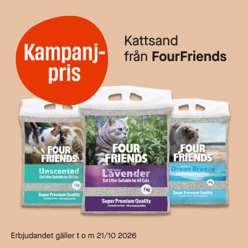 Kattsand FourFriends