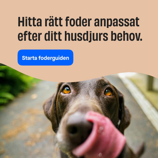 Foderguide liten