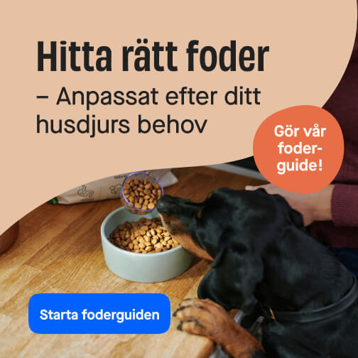 Foderguide liten