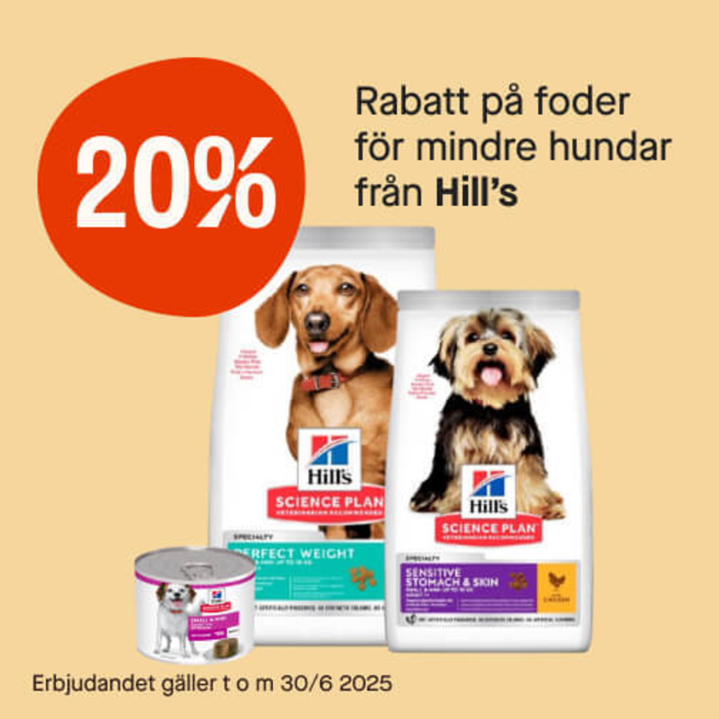20% foder för mindre hundar från Hill's