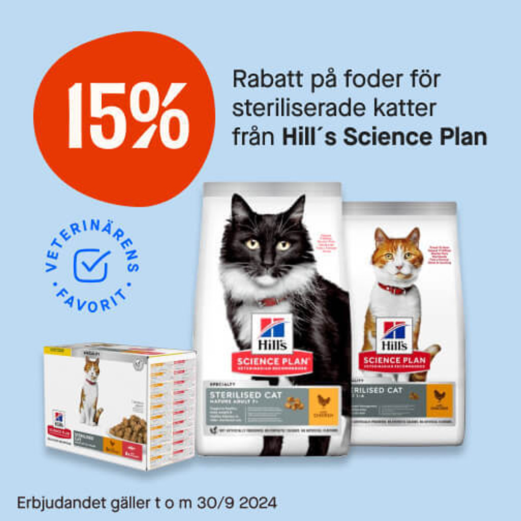 15% kattfoder från Hill's 